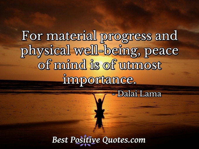 For material progress and physical well-being, peace of mind is of utmost importance. - Dalai Lama