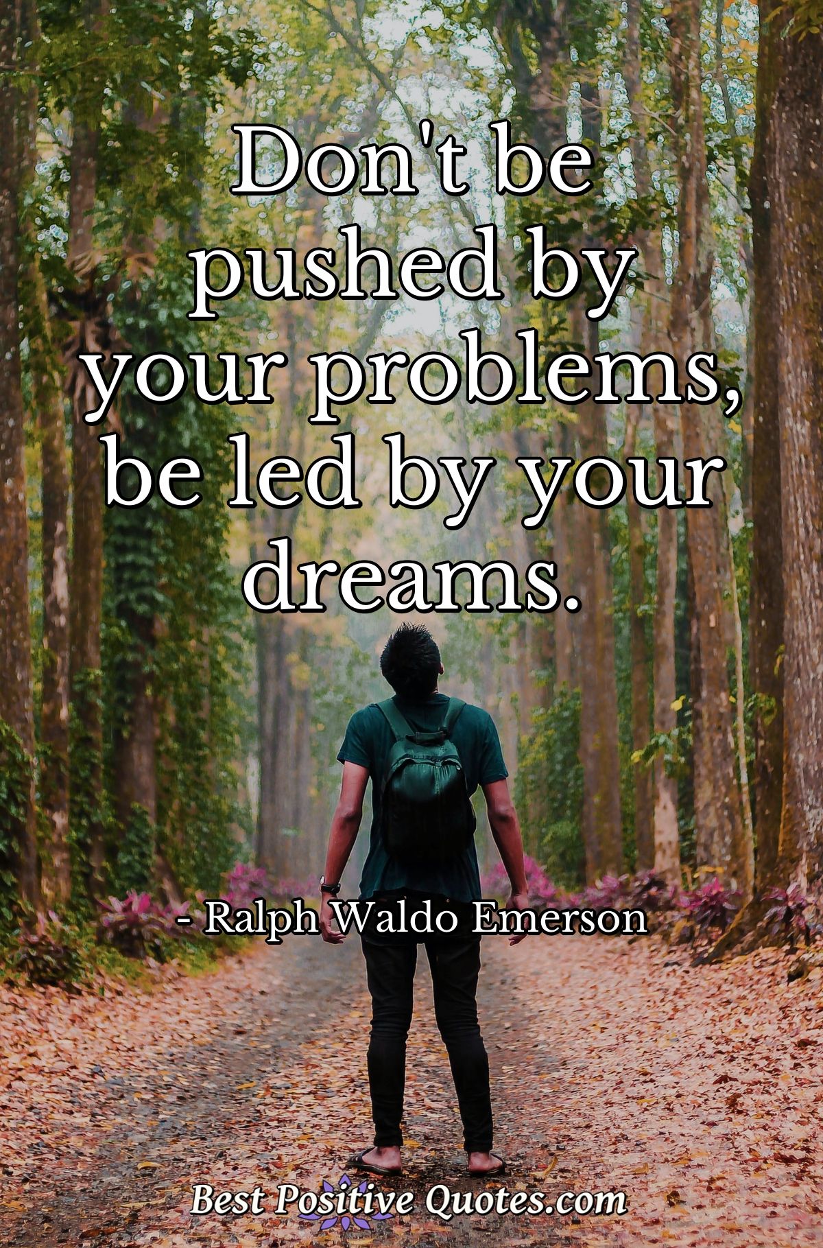 Don't be pushed by your problems, be led by your dreams. - Ralph Waldo Emerson