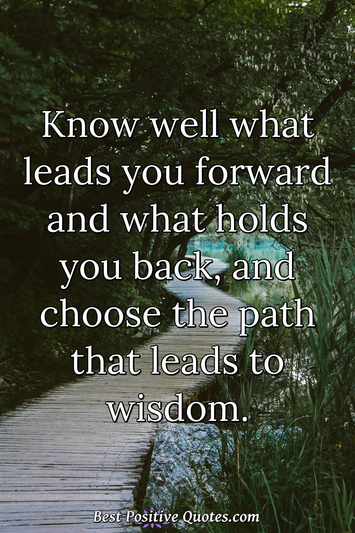 Know well what leads you forward and what holds you back, and choose the path that leads to wisdom. - Anonymous