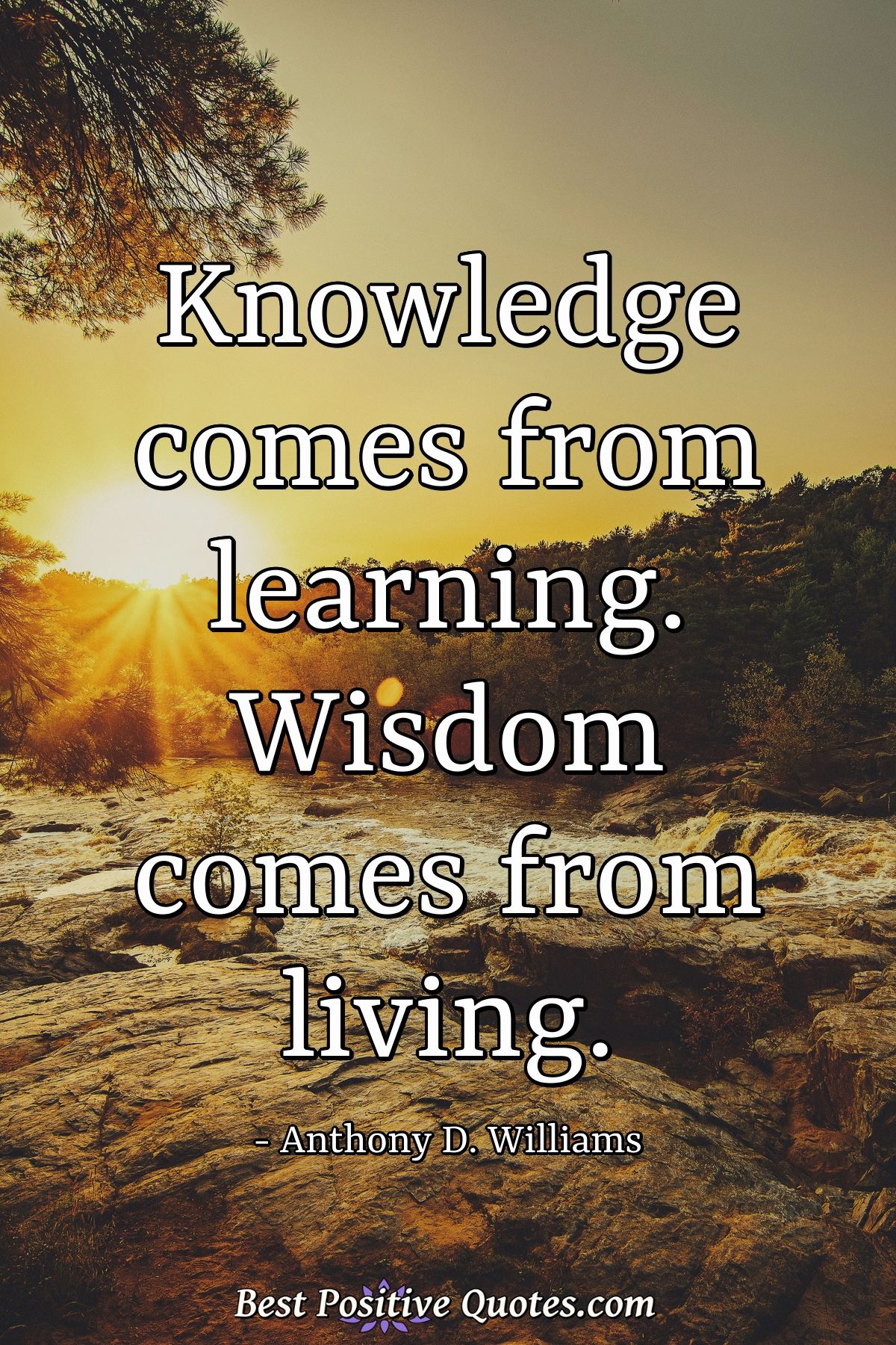 Knowledge comes from learning. Wisdom comes from living. - Anthony D. Williams