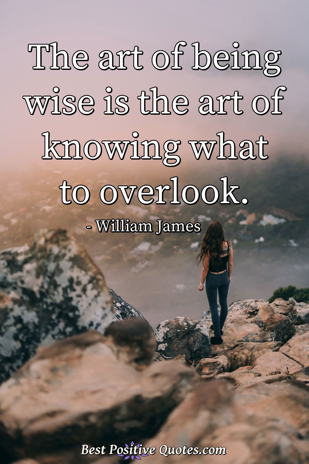 The art of being wise is the art of knowing what to overlook. - William James