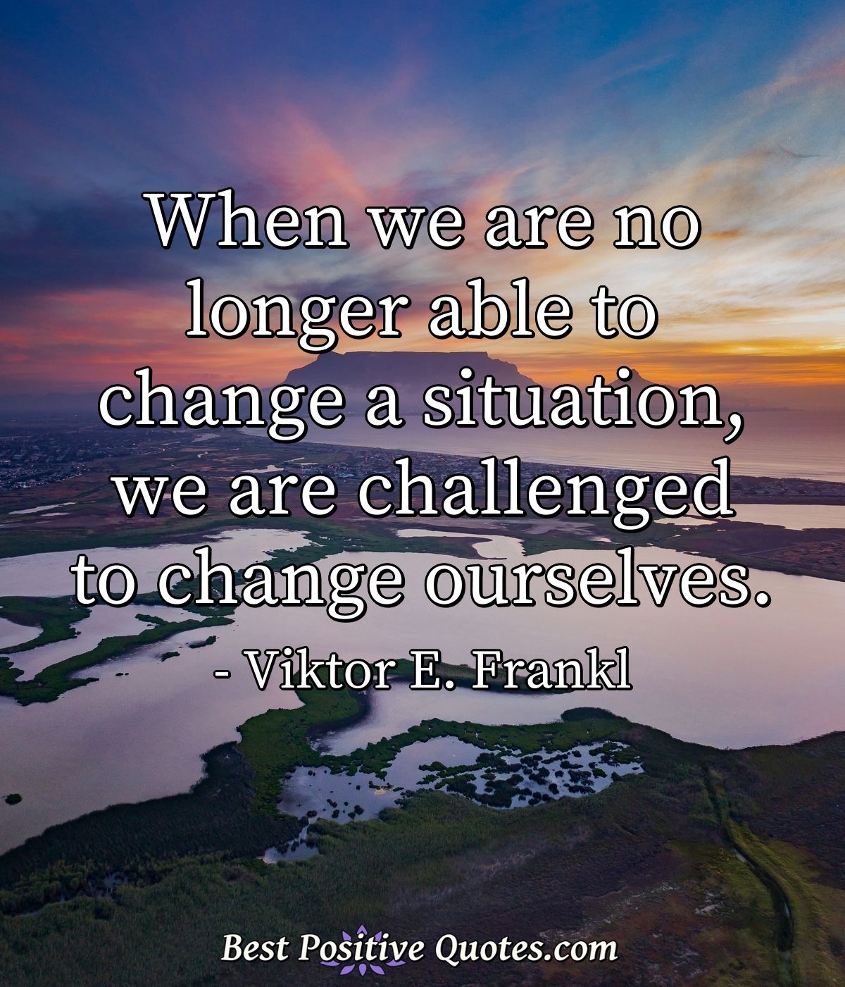When we are no longer able to change a situation, we are challenged to change ourselves. - Viktor E. Frankl
