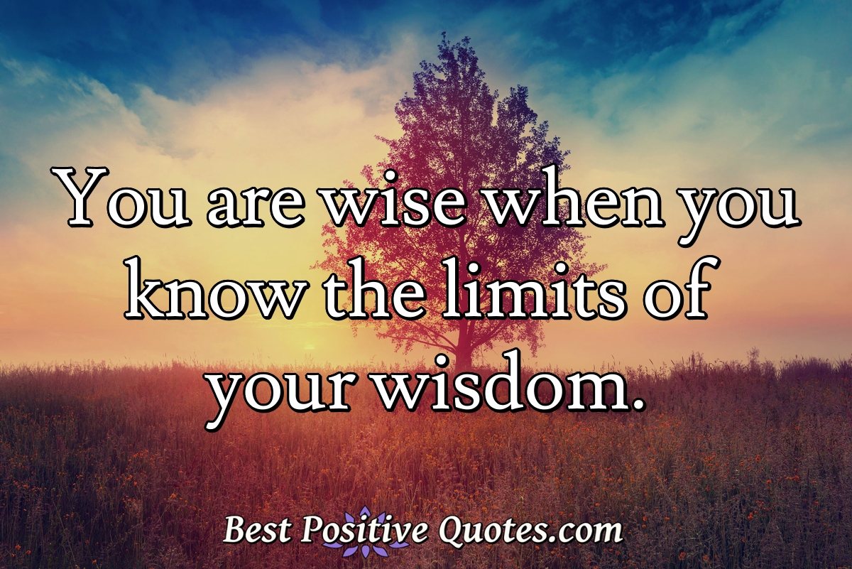 You are wise when you know the limits of your wisdom. - Anonymous