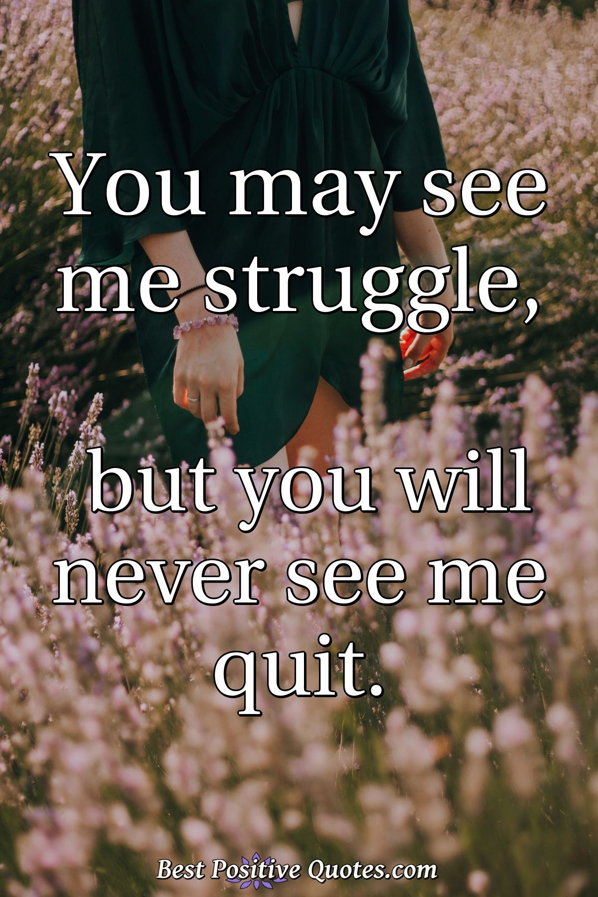 You may see me struggle, but you will never see me quit. - Anonymous