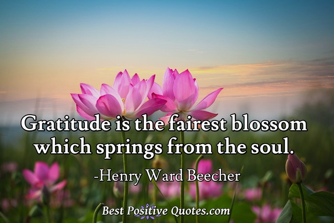 Gratitude is the fairest blossom which springs from the soul. - Henry Ward Beecher