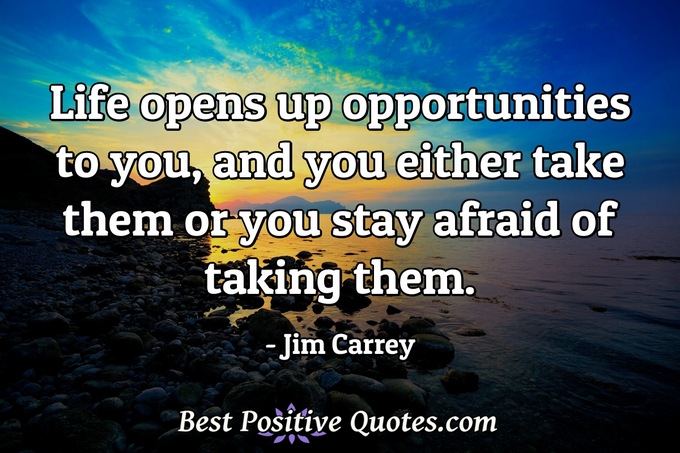 Life opens up opportunities to you, and you either take them or you stay afraid of taking them. - Jim Carrey