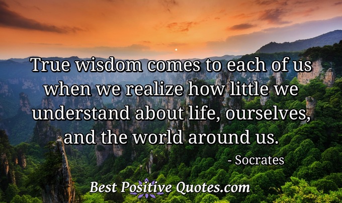 True wisdom comes to each of us when we realize how little we understand about life, ourselves, and the world around us. - Socrates