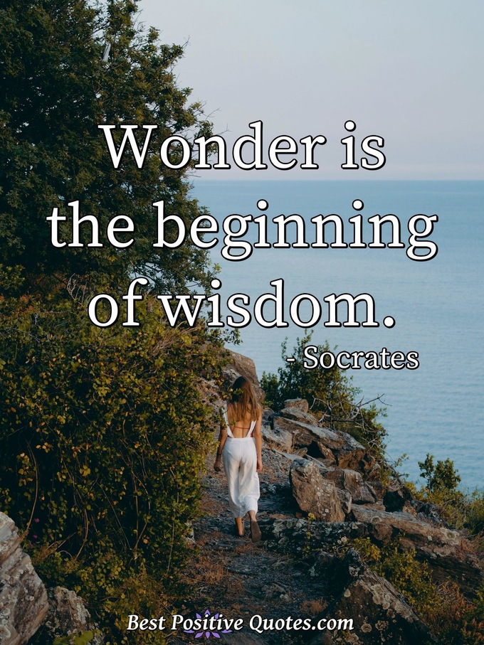 Wonder is the beginning of wisdom. - Socrates